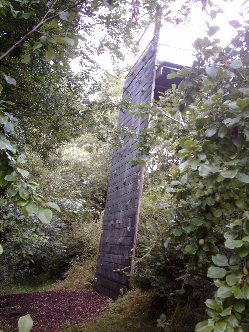 The March Hare's Climbing Wall